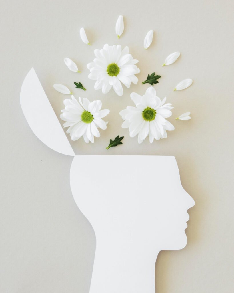 dibujo de flores saliendo de silueta de cabeza, haciendo referencia a paz mental